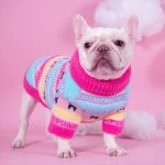 CozyPaw-Frenchie-Winter-Sweater-www.frenchie.shop-1.jpg