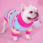 CozyPaw-Frenchie-Winter-Sweater-www.frenchie.shop-1.jpg