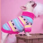 CozyPaw-Frenchie-Winter-Sweater-www.frenchie.shop-1.jpg