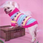 CozyPaw-Frenchie-Winter-Sweater-www.frenchie.shop-1.jpg