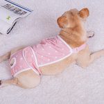 French-Bulldog-Shorts-Diaper-Pants-Fashionable-and-Functional-www.frenchie.shop-2.jpg