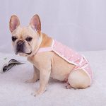 French-Bulldog-Shorts-Diaper-Pants-Fashionable-and-Functional-www.frenchie.shop-2.jpg