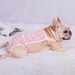 French-Bulldog-Shorts-Diaper-Pants-Fashionable-and-Functional-www.frenchie.shop-2.jpg