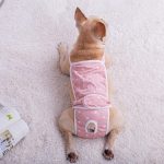 French-Bulldog-Shorts-Diaper-Pants-Fashionable-and-Functional-www.frenchie.shop-2.jpg