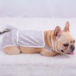 French-Bulldog-Shorts-Diaper-Pants-Fashionable-and-Functional-www.frenchie.shop-2.jpg