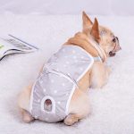 French-Bulldog-Shorts-Diaper-Pants-Fashionable-and-Functional-www.frenchie.shop-2.jpg