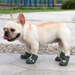 PupLuxe-Frenchie-Booties-with-Reflective-Straps-www.frenchie.shop-2.png