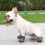 PupLuxe-Frenchie-Booties-with-Reflective-Straps-www.frenchie.shop-2.png