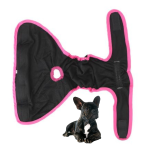 www.frenchie.shop-Adjustable-French-Bulldog-Shorts-Diaper-1.png