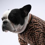 www.frenchie.shop-Cozy-French-Bulldog-Sweater_Premium-Stretchy-Winter-Pet-Wear-upper.jpg