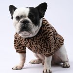 www.frenchie.shop-Cozy-French-Bulldog-Sweater_Premium-Stretchy-Winter-Pet-Wear-upper.jpg