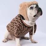 www.frenchie.shop-Cozy-French-Bulldog-Sweater_Premium-Stretchy-Winter-Pet-Wear-upper.jpg