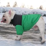 www.frenchie.shop-Frenchie-Warm-Windproof-Jacket-Reflective-Coat-3.jpg