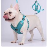 www.frenchie.shop-Glowva-No-Pull-Explosion-Proof-Frenchie_Harness.jpg