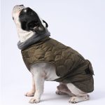 www.frenchie.shop-IceShield-Frenchie-Winter-Snowsuit-with-Reflective-Design.jpg