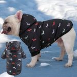 www.frenchie.shop-Luxurious-Hooded-Frenchie-Coat.jpg