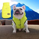 www.frenchie.shop-Premium-Frenchie-Winter-Jacket-Comfortable-Vest-with-D-Ring-for-Safe-Traction.jpg