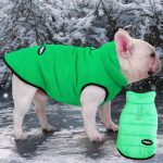 www.frenchie.shop-Premium-Frenchie-Winter-Jacket-Comfortable-Vest-with-D-Ring-for-Safe-Traction.jpg