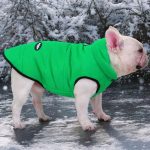 www.frenchie.shop-Premium-Frenchie-Winter-Jacket-Comfortable-Vest-with-D-Ring-for-Safe-Traction.jpg