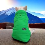 www.frenchie.shop-Premium-Frenchie-Winter-Jacket-Comfortable-Vest-with-D-Ring-for-Safe-Traction.jpg