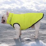 www.frenchie.shop-Premium-Frenchie-Winter-Jacket-Comfortable-Vest-with-D-Ring-for-Safe-Traction.jpg