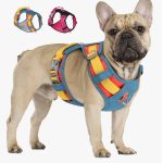 www.frenchie.shop-PupBright-No-Pull-Frenchie-Reflective-Harness-1.jpg