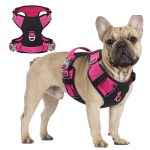 www.frenchie.shop-PupBright-No-Pull-Frenchie-Reflective-Harness-1.jpg