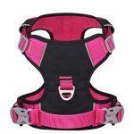 www.frenchie.shop-PupBright-No-Pull-Frenchie-Reflective-Harness-1.jpg