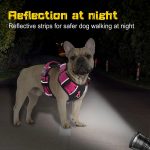 www.frenchie.shop-PupBright-No-Pull-Frenchie-Reflective-Harness-1.jpg