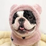 www.frenchie.shop-Warmie-Frenchie-Winter-Plush-Hat-1.jpg