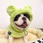 www.frenchie.shop-Warmie-Frenchie-Winter-Plush-Hat-1.jpg