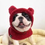 www.frenchie.shop-Warmie-Frenchie-Winter-Plush-Hat-1.jpg