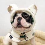 www.frenchie.shop-Warmie-Frenchie-Winter-Plush-Hat-1.jpg